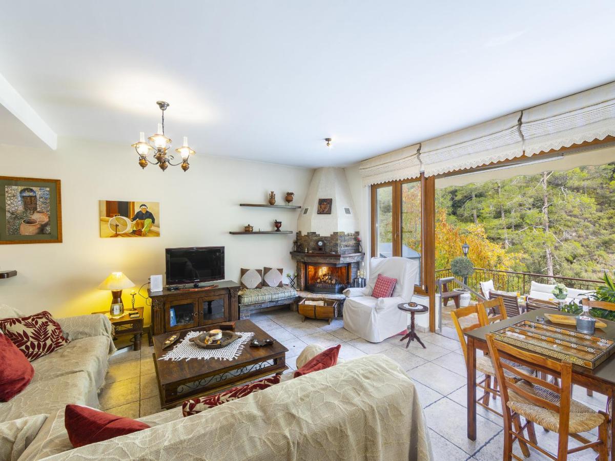 Troodos Riverside Cottage Kato Amiandos Экстерьер фото