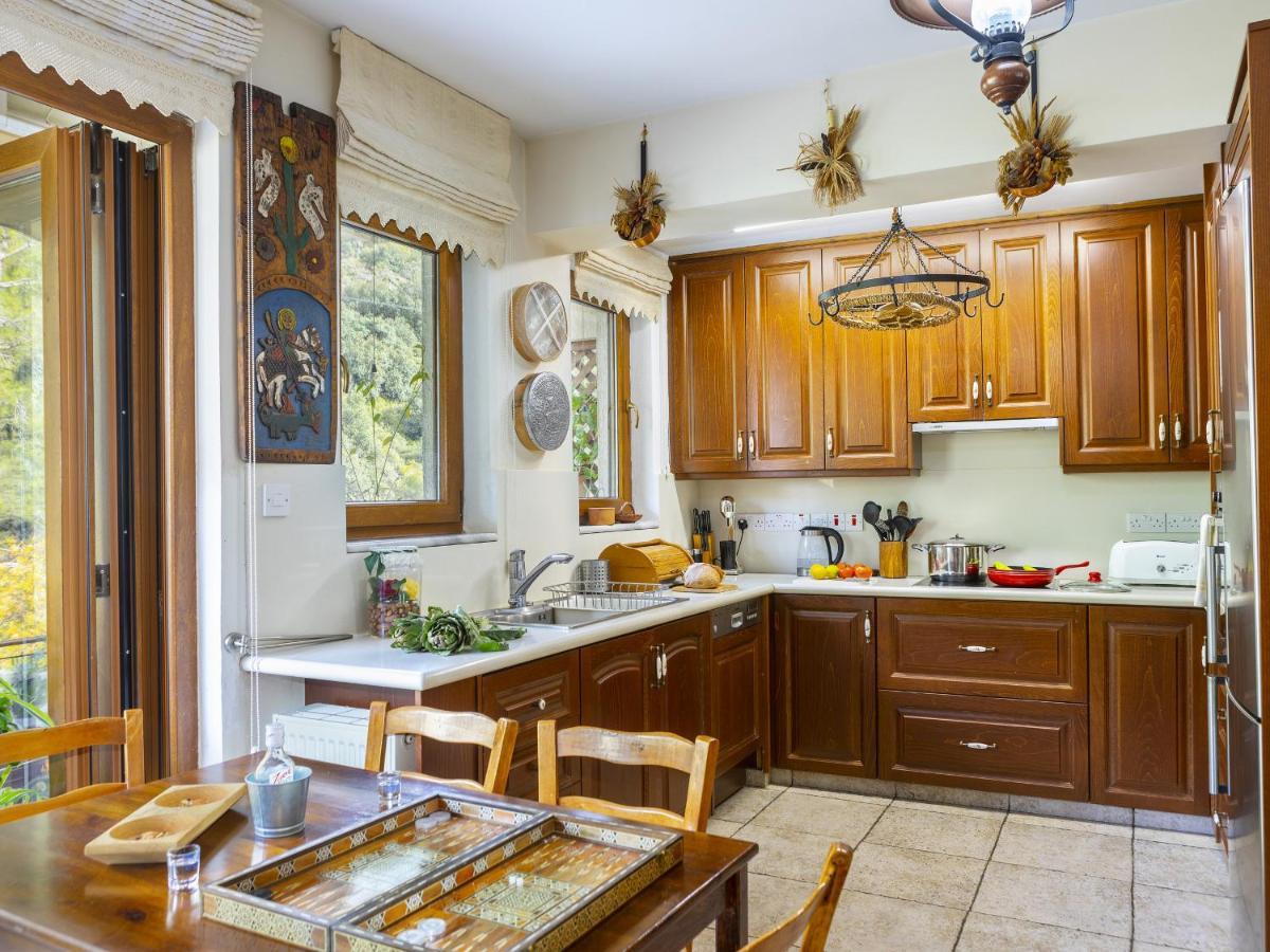 Troodos Riverside Cottage Kato Amiandos Экстерьер фото